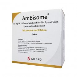 Амбизом (Ambisome) порошок для инъекций 50мг 1шт в Симферополе и области фото