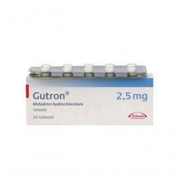 Гутрон таблетки 2,5 мг. №20 в Симферополе и области фото